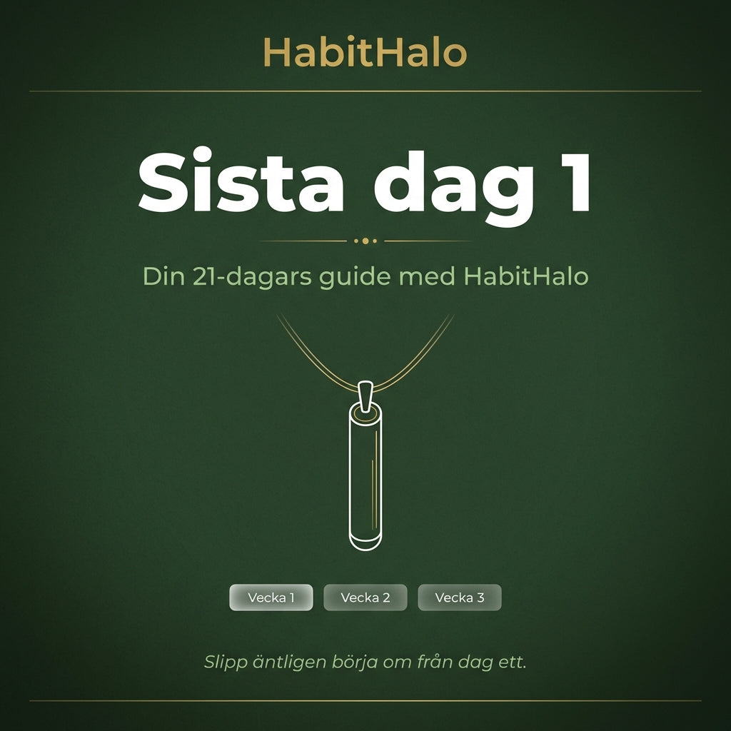 21 päivän aloitusopas e-kirja